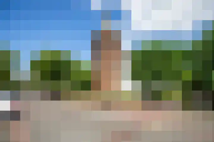 van Hardenbroeklaan 36 Bunnik thumbnail 43