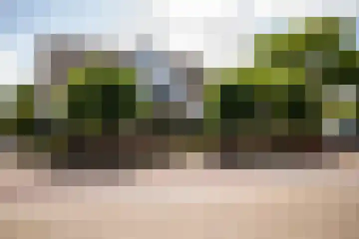 van Hardenbroeklaan 36 Bunnik thumbnail 45