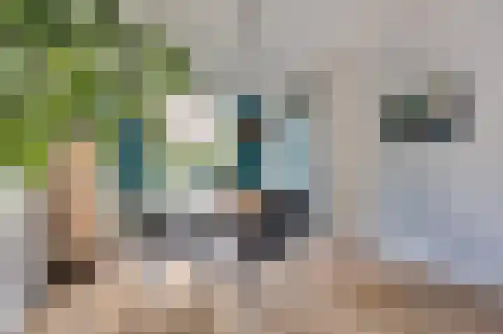 van Hardenbroeklaan 44 Rijswijk thumbnail 15
