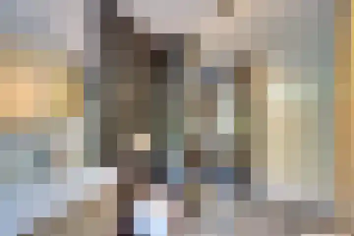 van Hardenbroeklaan 44 Rijswijk thumbnail 27