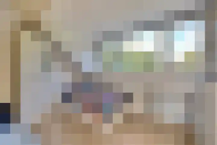 van Hardenbroeklaan 44 Rijswijk thumbnail 33