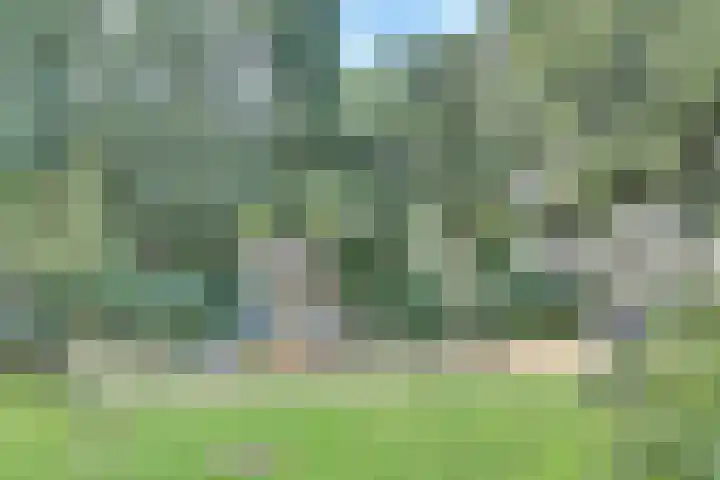 van Hardenbroeklaan 44 Rijswijk thumbnail 35