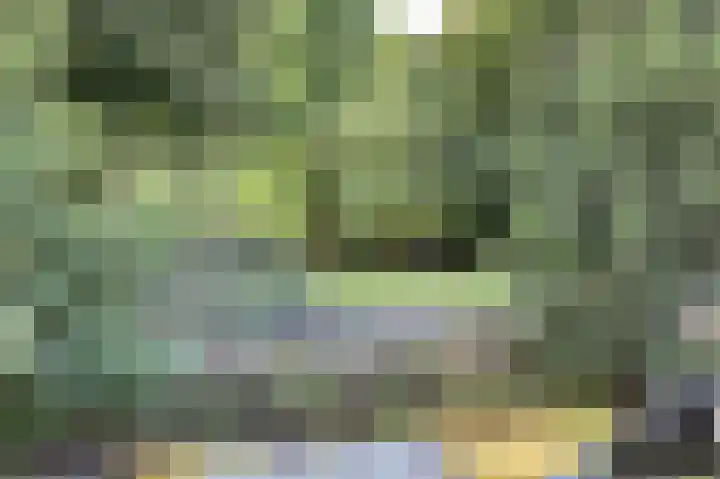 van Hardenbroeklaan 44 Rijswijk thumbnail 38