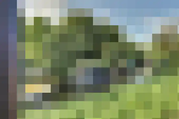 van Hardenbroeklaan 44 Rijswijk thumbnail 45