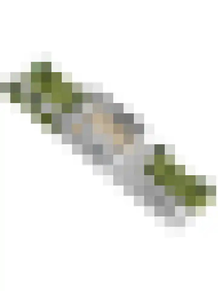 van Hardenbroeklaan 44 Rijswijk thumbnail 47
