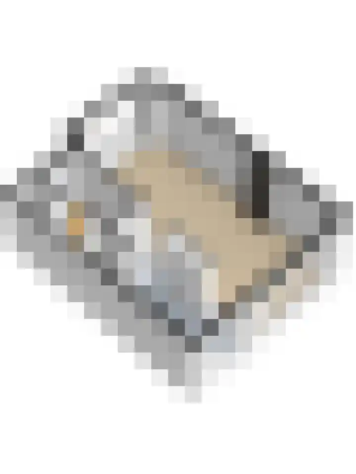 van Hardenbroeklaan 44 Rijswijk thumbnail 49