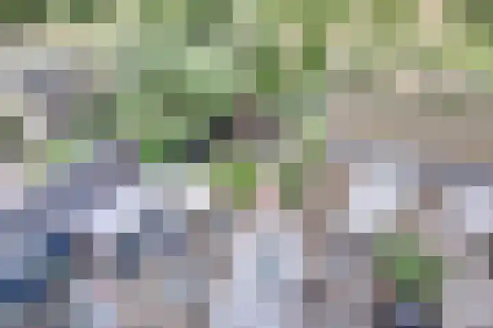 van Hardenbroeklaan 44 Rijswijk thumbnail 5