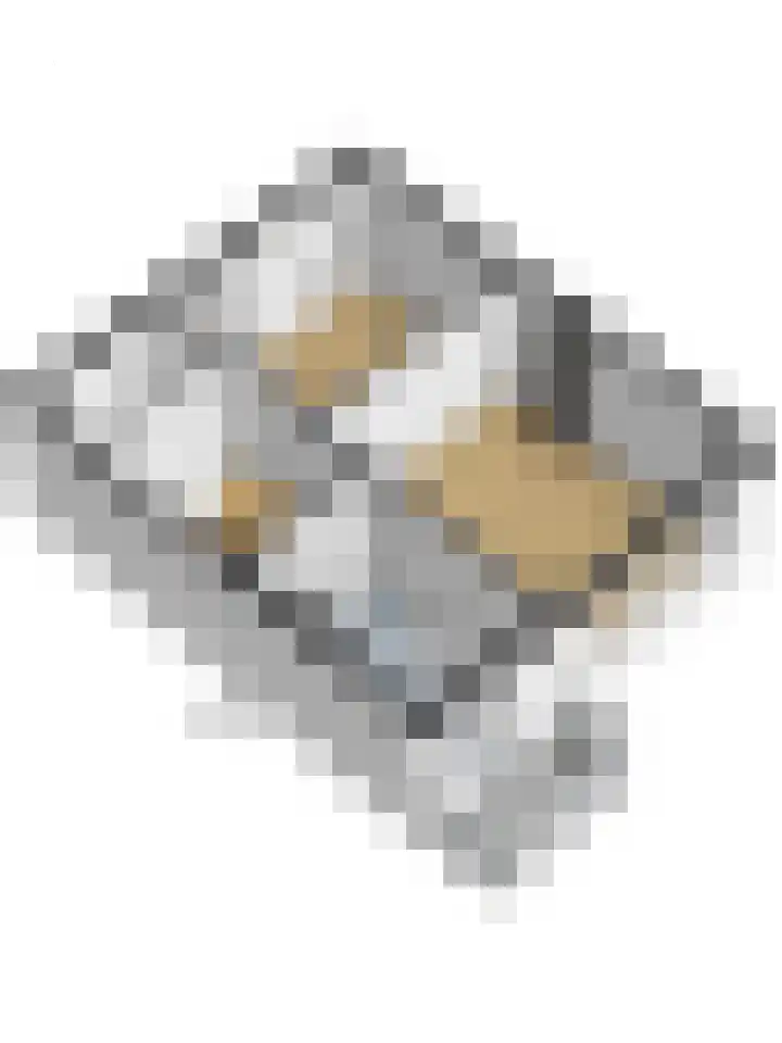 van Hardenbroeklaan 44 Rijswijk thumbnail 51