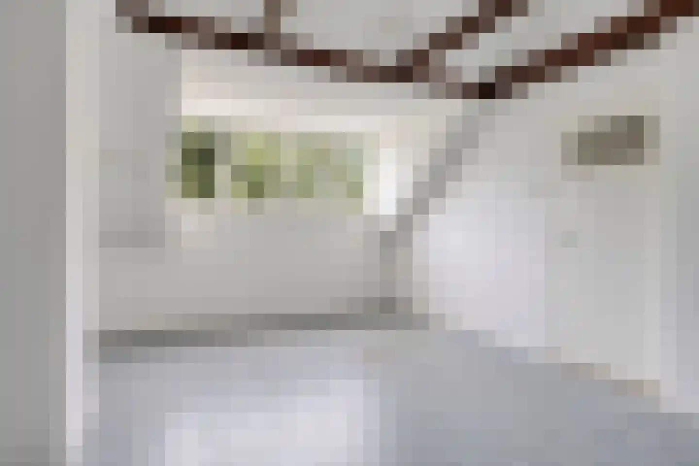 van Hardenbroeklaan 48 Rijswijk thumbnail 29