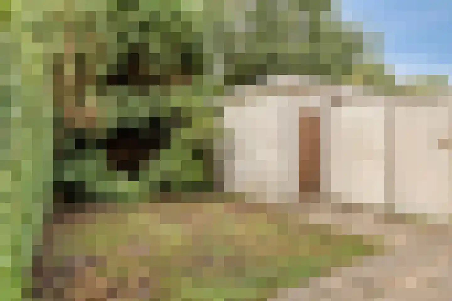 van Hardenbroeklaan 48 Rijswijk thumbnail 31
