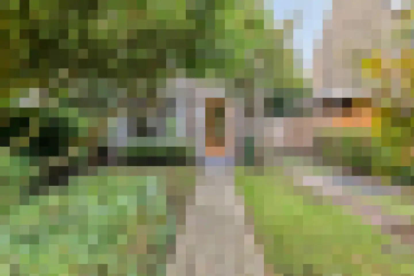 van Hardenbroeklaan 48 Rijswijk thumbnail 35