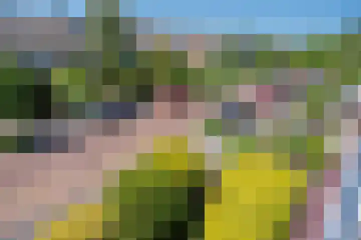 van Hardenbroeklaan 51 Rijswijk thumbnail 12