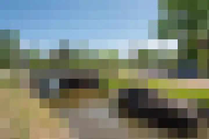 van Hardenbroeklaan 51 Rijswijk thumbnail 35
