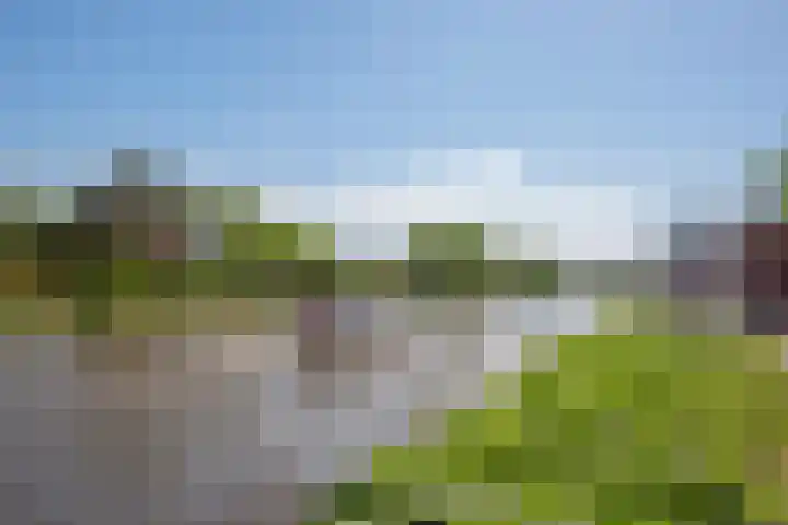 van Hardenbroeklaan 51 Rijswijk thumbnail 36