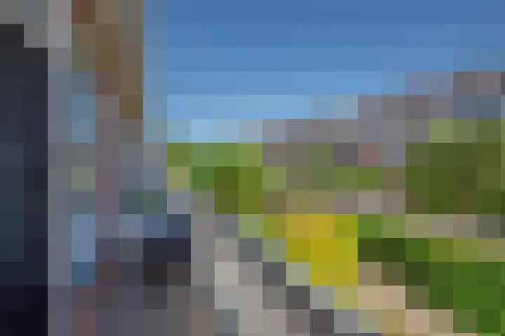 van Hardenbroeklaan 51 Rijswijk thumbnail 4