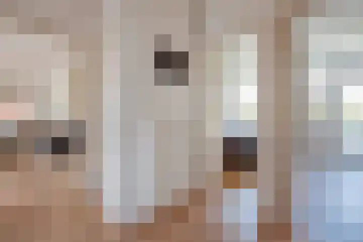 van Hardenbroeklaan 51 Rijswijk thumbnail 8
