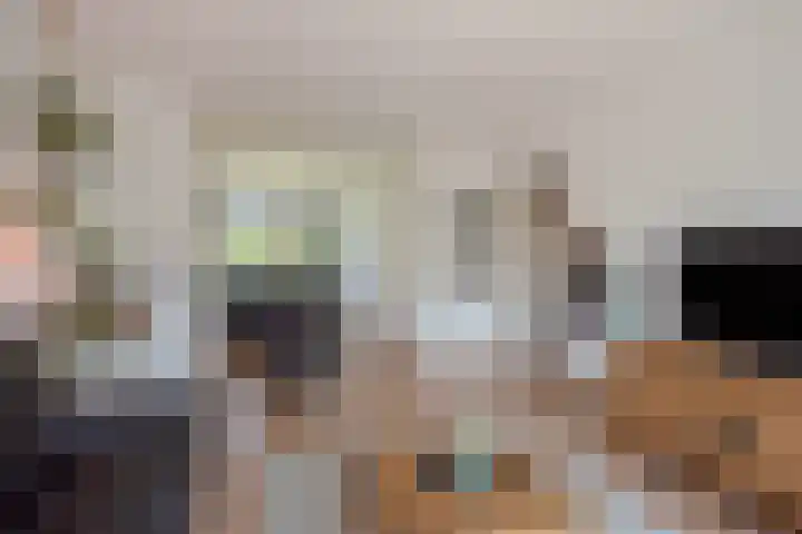 van Hardenbroeklaan 51 Rijswijk thumbnail 9