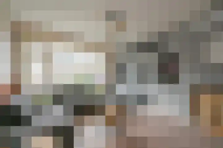 van Hardenbroeklaan 65 Rijswijk thumbnail 10
