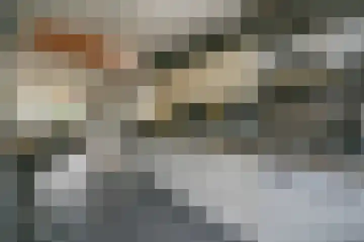 van Hardenbroeklaan 65 Rijswijk thumbnail 15