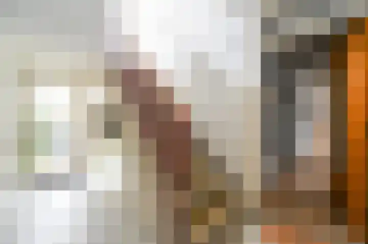 van Hardenbroeklaan 65 Rijswijk thumbnail 7