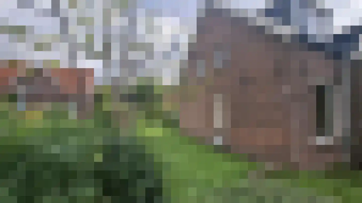Van Hardenbroekstraat 21 Rotterdam thumbnail 17