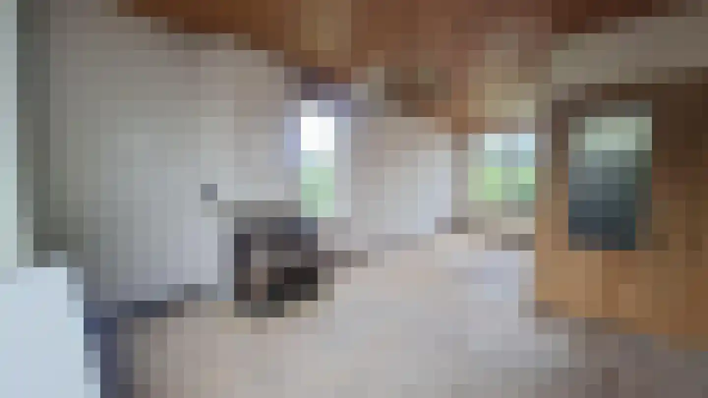 Van Hardenbroekstraat 21 Rotterdam thumbnail 7