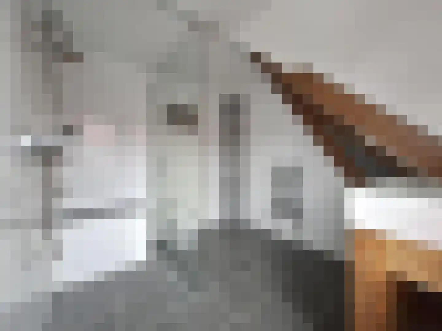 Van Hardenbroekstraat 9 Rotterdam thumbnail 21