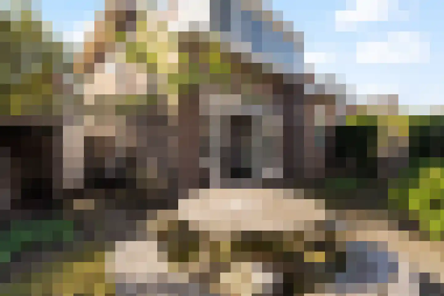 van Hardenbroekweg 15 Noordwijk thumbnail 15
