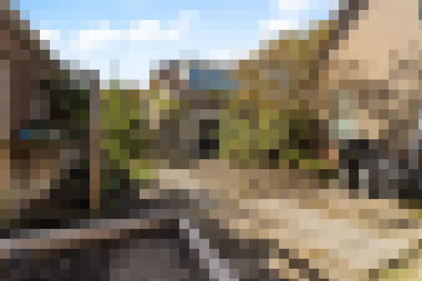 van Hardenbroekweg 15 Noordwijk thumbnail 17