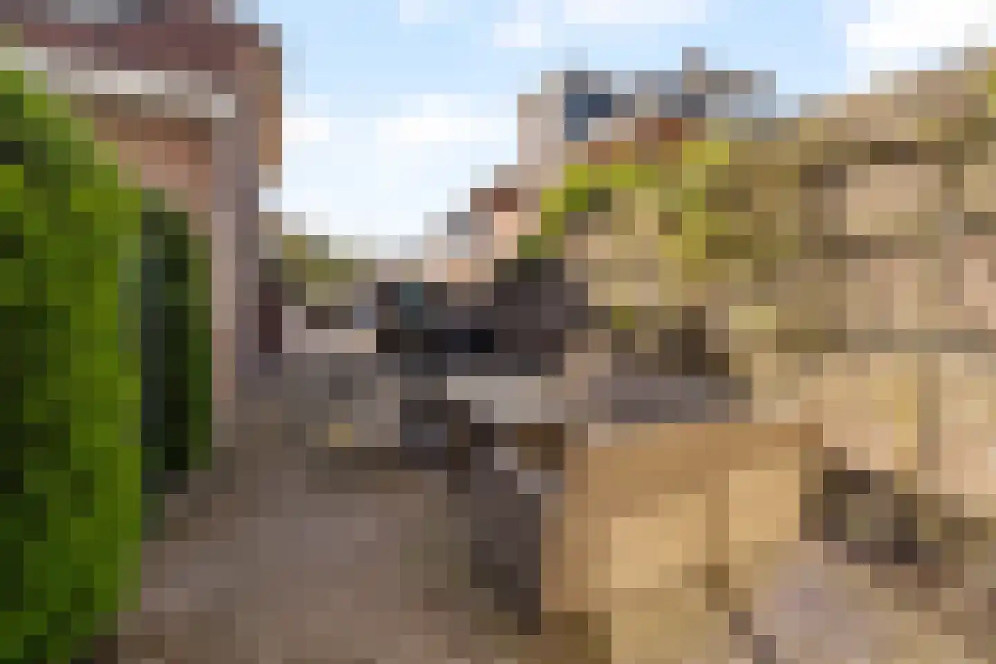 van Hardenbroekweg 15 Noordwijk thumbnail 40
