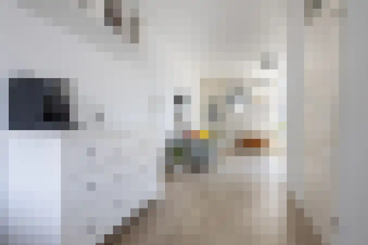 van Harencarspelstraat 19 Beverwijk thumbnail 18