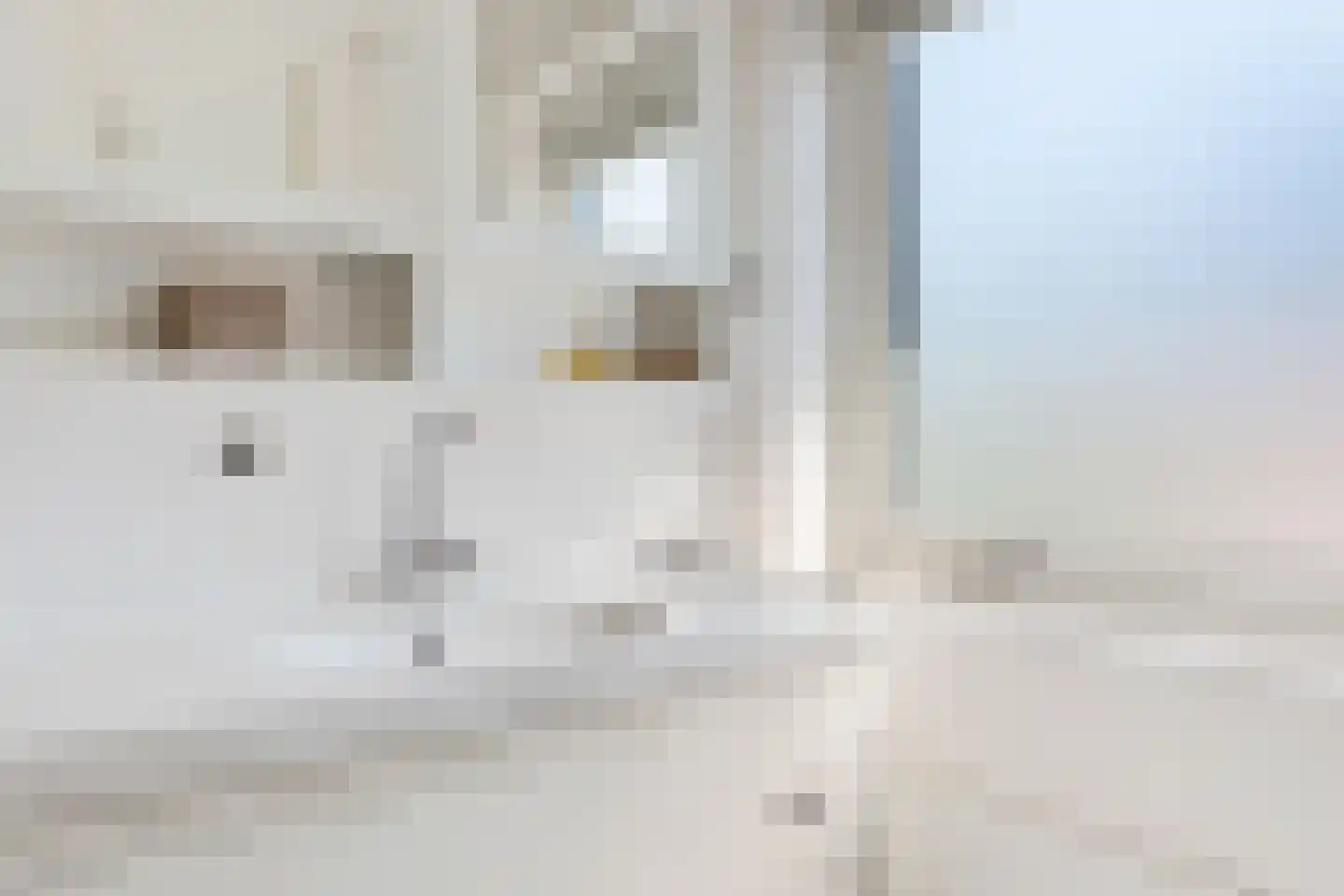 Van Harenlaan 12 Alkmaar thumbnail 30