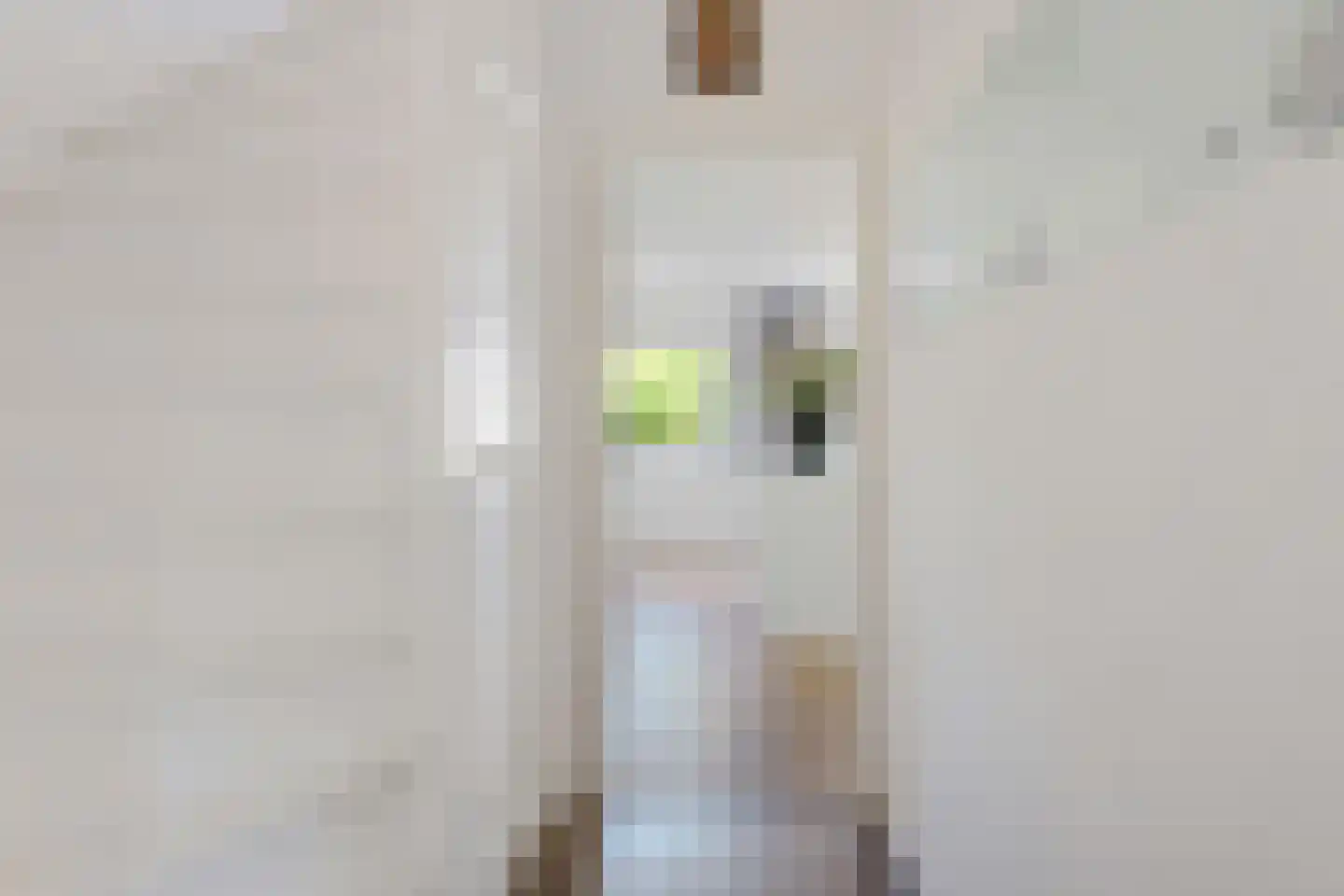 Van Harenlaan 12 Alkmaar thumbnail 4