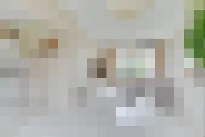 Van Harenlaan 26 Alkmaar thumbnail 17