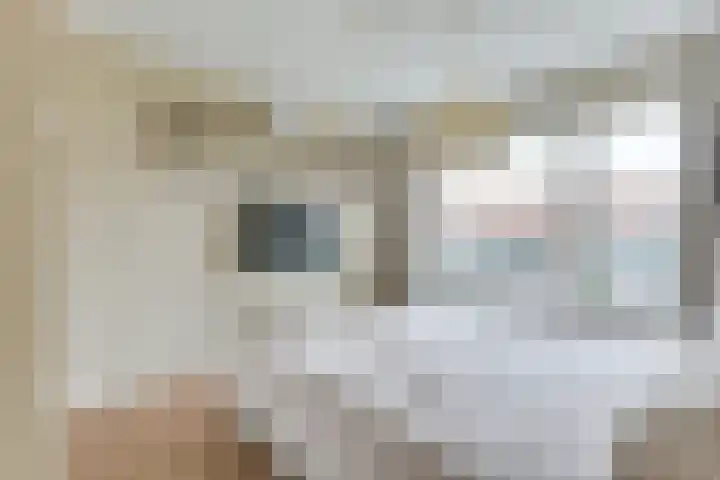 Van Harenlaan 26 Alkmaar thumbnail 27