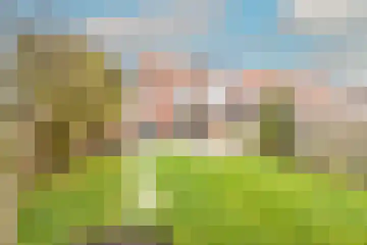 Van Harenlaan 26 Alkmaar thumbnail 37