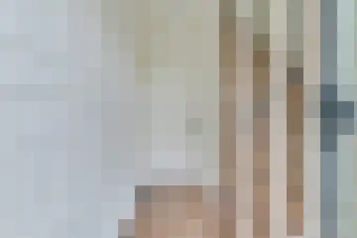 Van Harenlaan 26 Alkmaar thumbnail 7