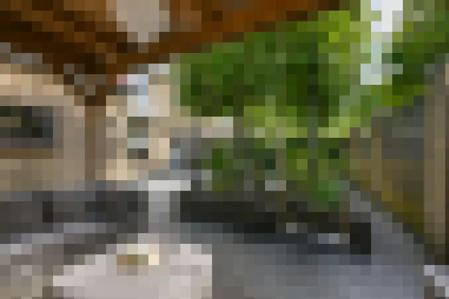 Van Harenlaan 4 Alkmaar thumbnail 34