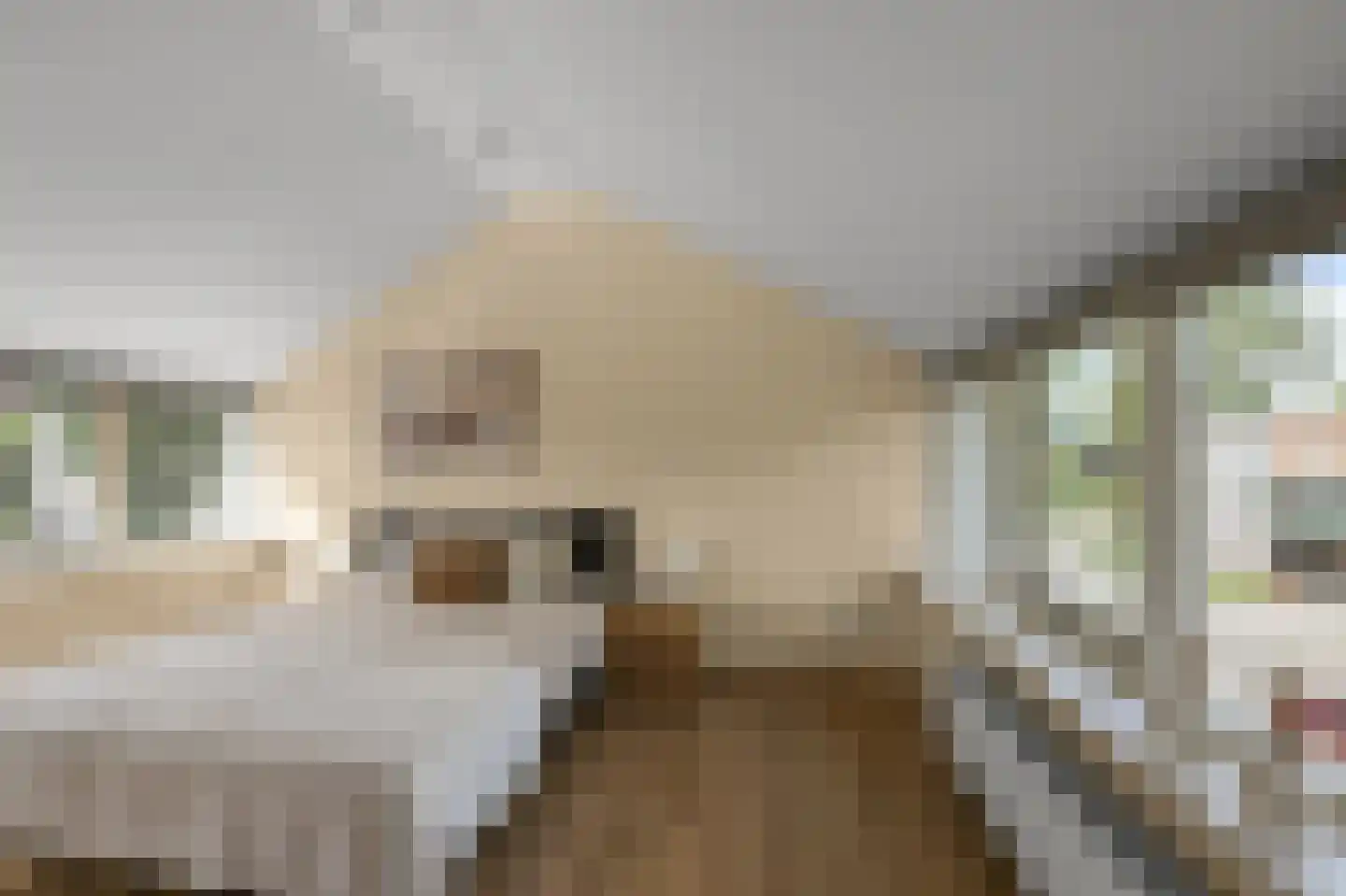 Van Harenlaan 4 Alkmaar thumbnail 4