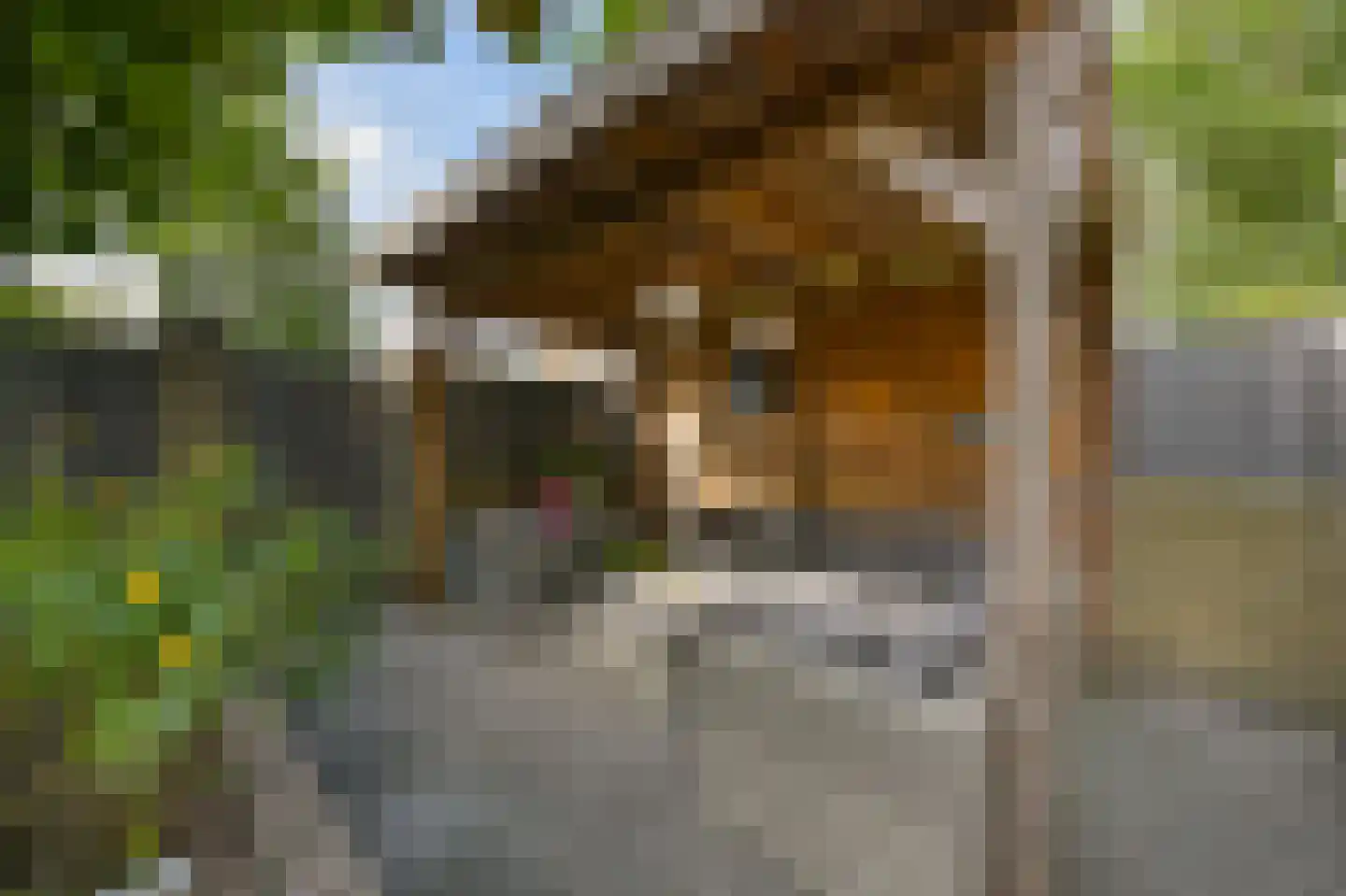 Van Harenlaan 4 Alkmaar thumbnail 6