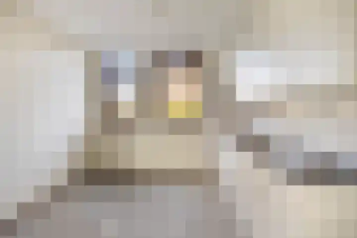 Van Harenmarke 14 Zwolle thumbnail 11