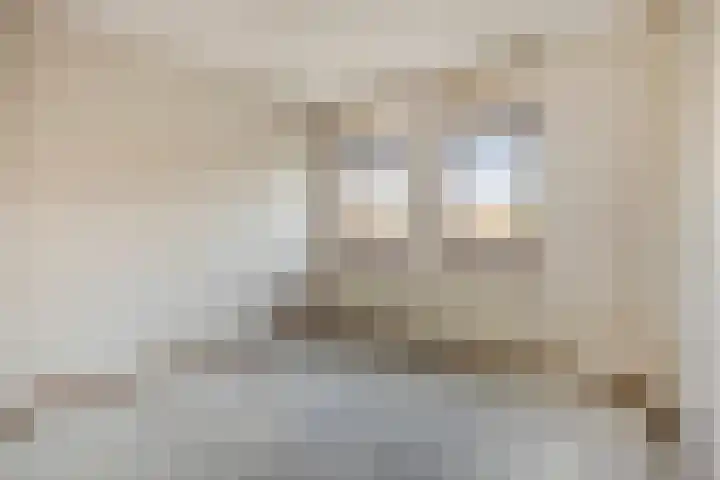 Van Harenmarke 14 Zwolle thumbnail 17