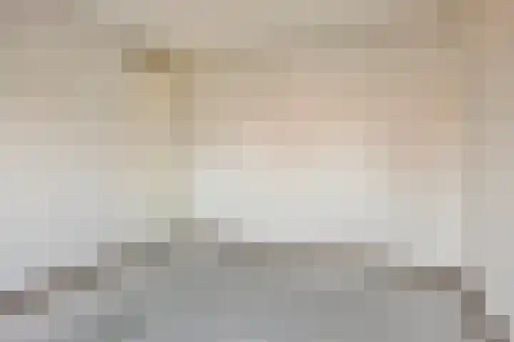 Van Harenmarke 14 Zwolle thumbnail 18