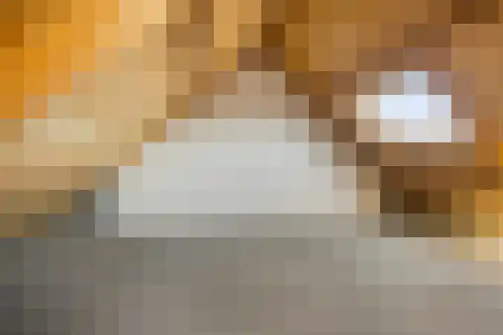 Van Harenmarke 14 Zwolle thumbnail 24