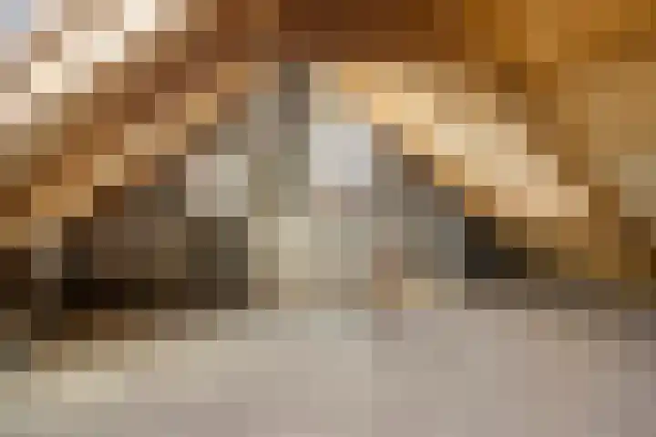 Van Harenmarke 14 Zwolle thumbnail 25