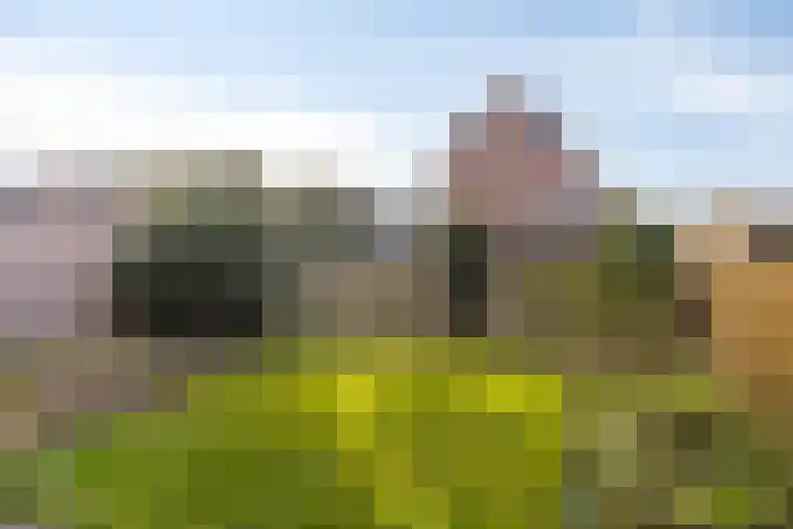 Van Harenmarke 14 Zwolle thumbnail 27