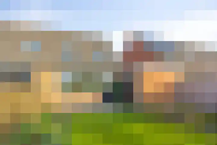 Van Harenmarke 14 Zwolle thumbnail 28