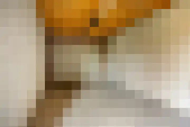 Van Harenmarke 14 Zwolle thumbnail 30