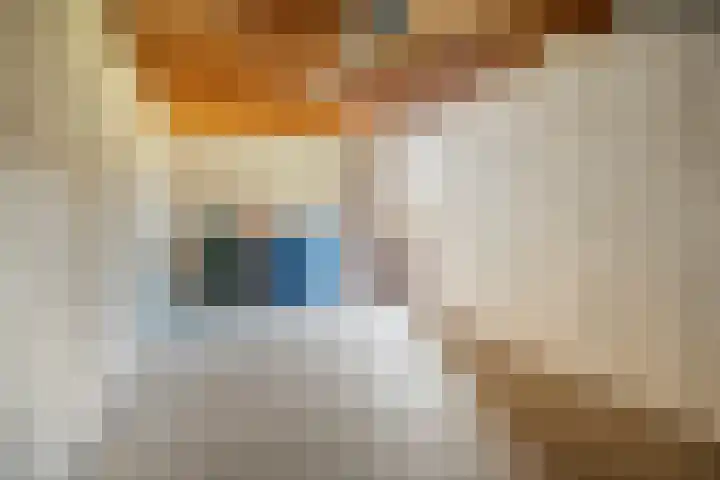 Van Harenmarke 14 Zwolle thumbnail 31