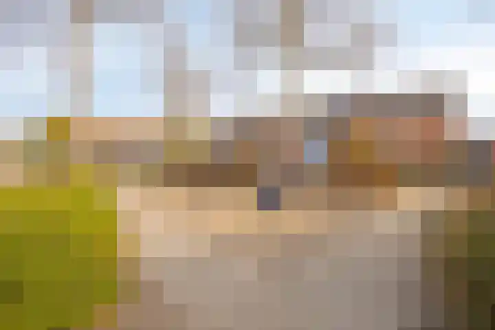 Van Harenmarke 14 Zwolle thumbnail 32